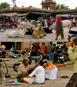 mucche e barbieri al bazar di Jodhpur