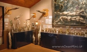 museo_del_fallo