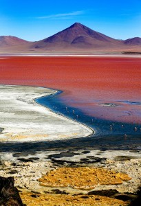 Laguna_Colorada, Bolivia