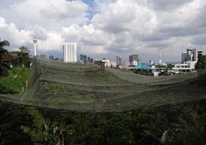 Vista dall'alto della zona Flight Zone del KL Bird Park di Kuala Lumpur, Malesia