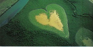 Voh Heart e mangrovie, Nuova Caledonia