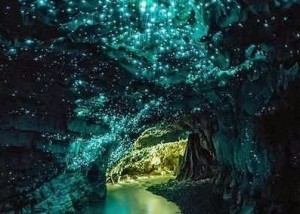 Waitomo Caves, Nuova Zelanda