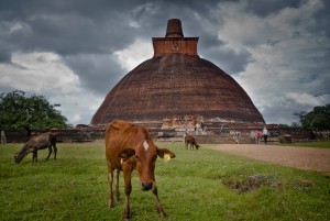 Anuradhapura 1, Sri Lanka