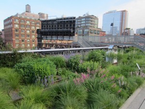 High Line, New York 1