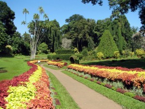 Peradeniya Botanical Garden, Sri Lanka