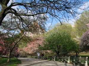 Riverside Park, New York 2