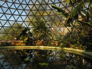 Tropical Display Dome, Brisbane