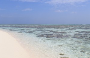 Passeggiando per l'atollo dell'Angsana Velavaru Resort, Maldive (6)