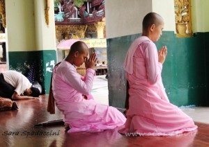 Monache in preghiera alla Shwedagon Pagoda, Yangon