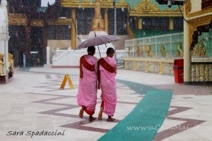 Monache sotto la pioggia alla Shwedagon Paya, Yangon