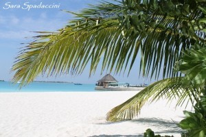 Stupenda spiaggia dell'hotel 1, Maldive 2013