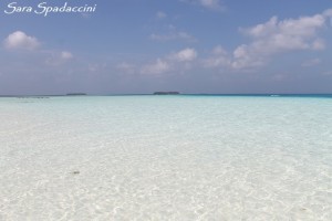 Stupenda spiaggia dell'hotel 2, Maldive 2013