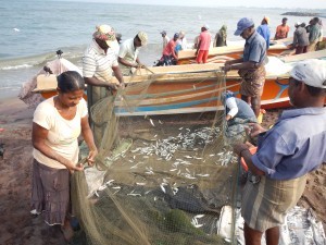 Reti da pesca in Sri Lanka