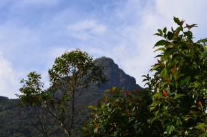 Sri Pada: Adam's Peak