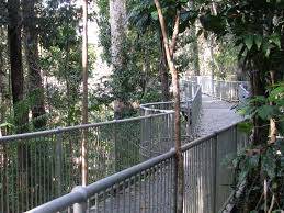 Mamu Rainforest Canopy Walkway, Australia
