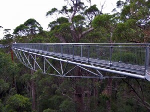 Valley of The Giants Tree Top Walk, Australia