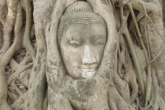 Ayutthaya, Thailandia (24)