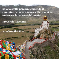 proverbio-tibetano-1