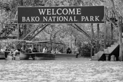 Bako_National_Park2