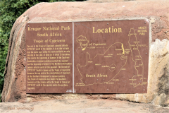 Kruger Park (31)