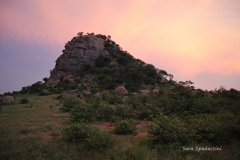 Kruger Park (42)