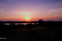 Kruger Park (43)