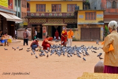 Nepal Travelgallery Sara Spadaccini (23) (800x533)