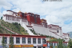 Tibet Sara 2017 (1)