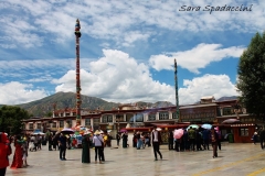 Tibet Sara 2017 (12)