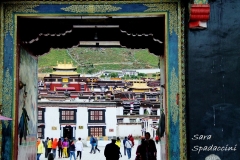 Tibet Sara 2017 (31)