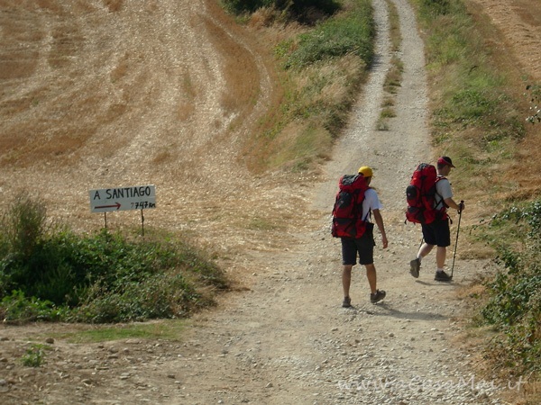 Cammino di Santiago: Zubiri – Pamplona Indicazione del Cammino di Santiago