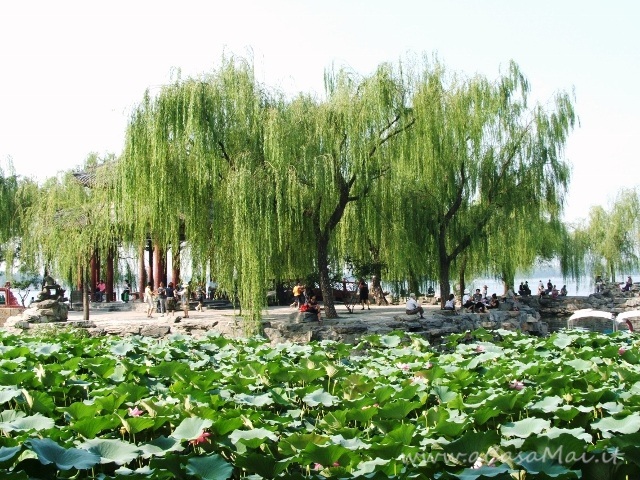 Il palazzo d’estate di Pechino giardino dell'interesse armonico