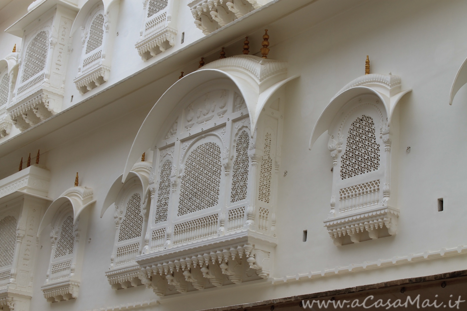 India: Mandawa-Bikaner particolare nel Junaghar fort