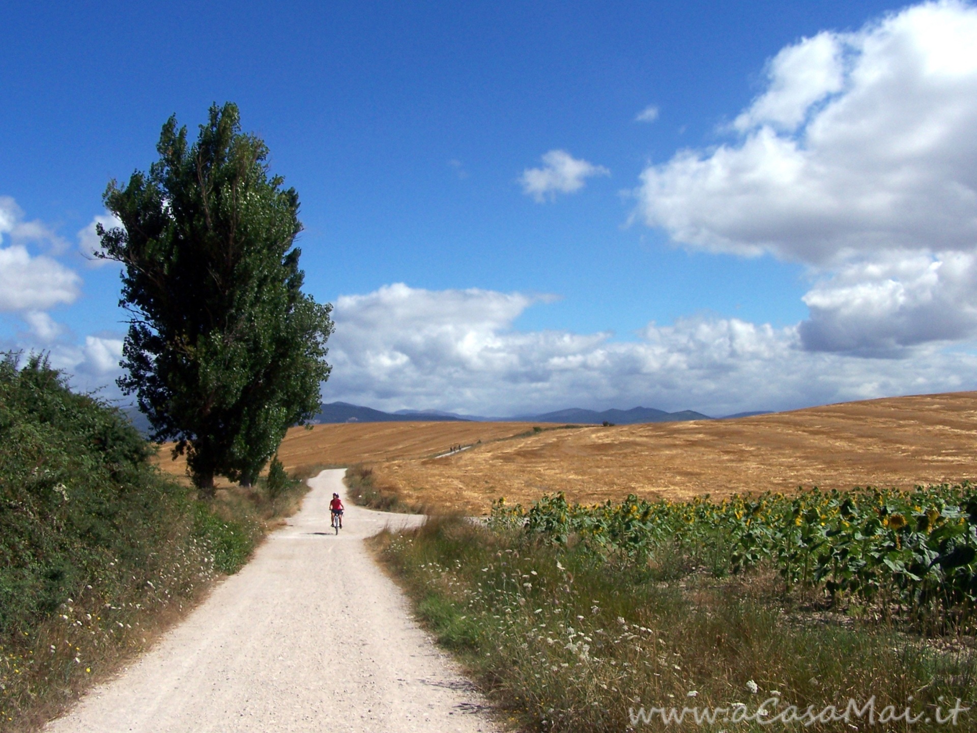 Cammino di Santiago: Pamplona – Puente la Reina Sentiero del Cammino di Santiago