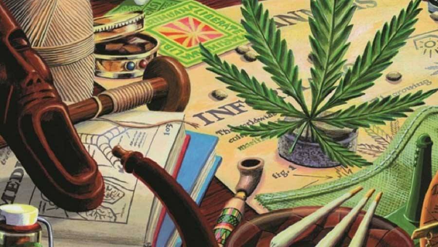 Il Museo della Marijuana di Amsterdam Museo della Marijuana Amsterdam