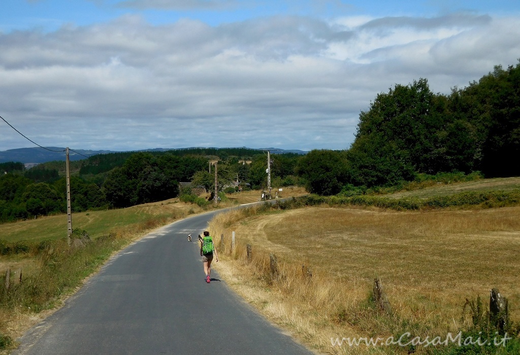 Cammino di Santiago: Logroño – Azofra Pellegrini sul Cammino di Santiago