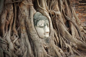 Buddha tra le radici al Wat Phra Mahathat 1, Ayutthaya