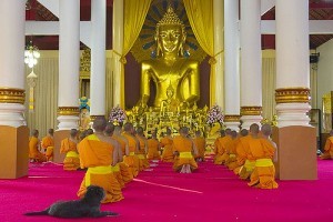 Lion Buddha al Wat Phra Singh 2, Thailandia