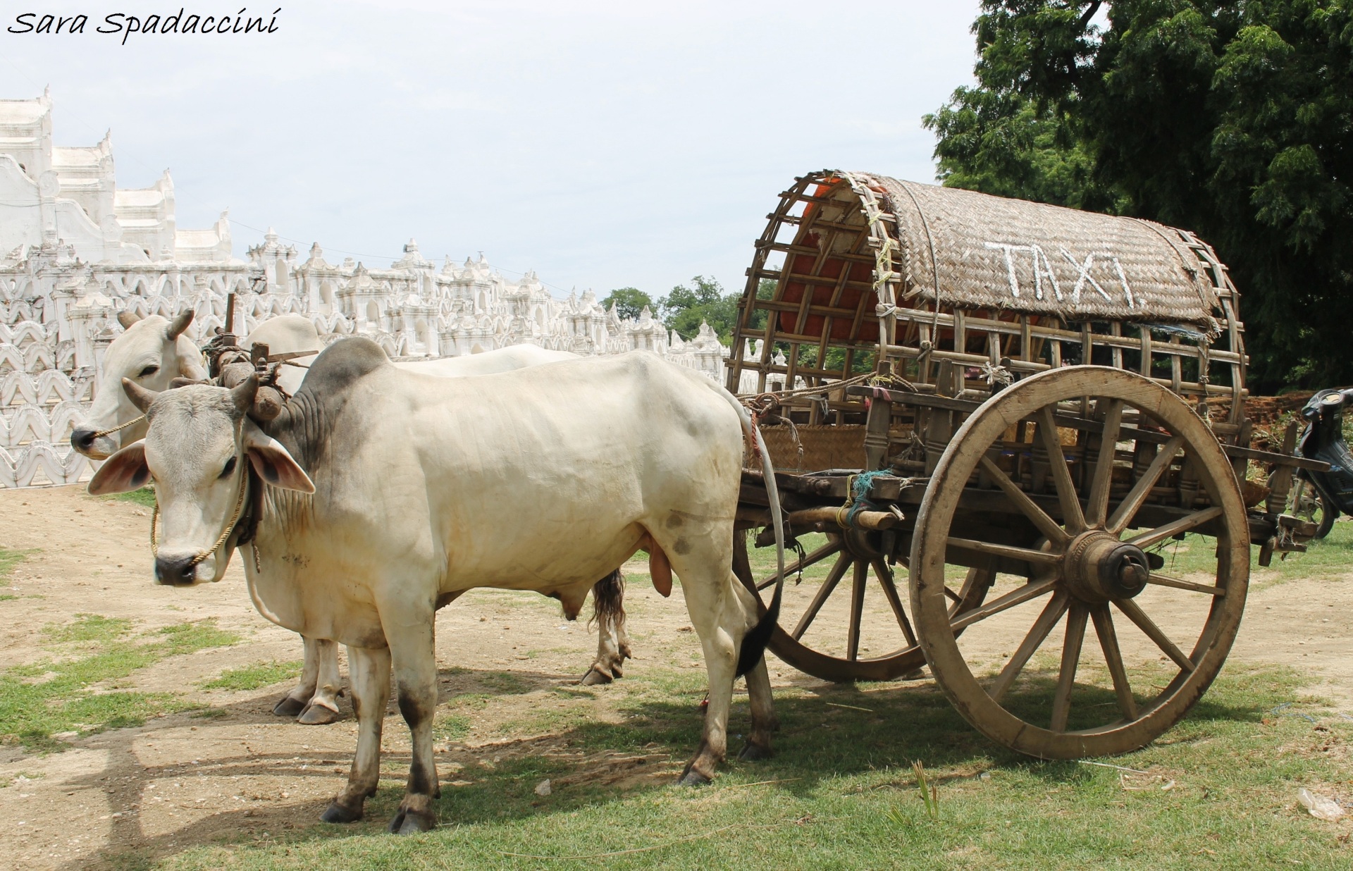 Nono giorno in Myanmar: visita alla antica capitale Mingun!!! taxi-a-mingun-myanmar