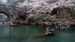 Il lago occidentale di Hangzhou