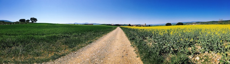 La Navarra, regione in cui inizia il Cammino di Santiago nel Cammino Francese