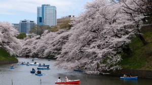 vacanze ad aprile tokyo 1