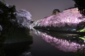 vacanze ad aprile tokyo 2