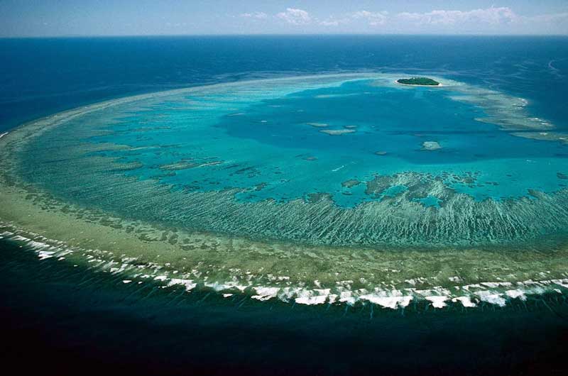 Grande Barriera Corallina In Australia Acasamai It