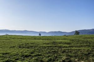 I cammini in Italia, il viaggio a piedi nel bel paese