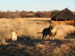 Namibia2.vacanze a settembre