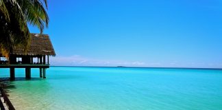 Vacanze alle Maldive, per i veri amanti del mare! Vacanze Alle Maldive 1