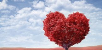 Weekend romantico? Scopri le città ideali per fughe in coppia! Weekend Romantico