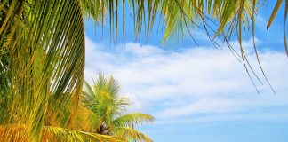 Viaggio in Giamaica: tutto quello che devi sapere! Viaggio In Giamaica