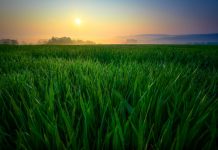 Viaggiare Green: la guida per un turismo sostenibile Viaggiare green per un turismo sostenibile